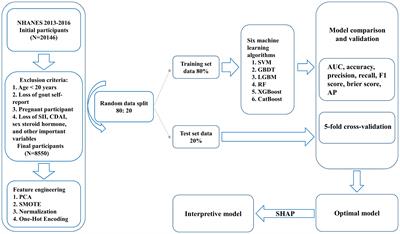 Creating machine learning models that interpretably link systemic inflammatory index, sex steroid hormones, and dietary antioxidants to identify gout using the SHAP (SHapley Additive exPlanations) method